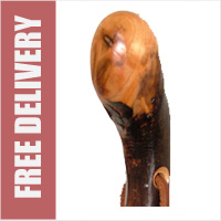 Sweet Chestnut Knob Walking Stick